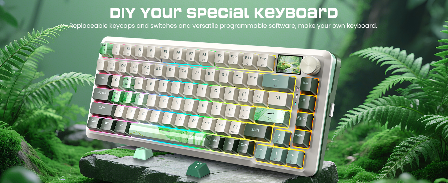 81 Customizable Keys