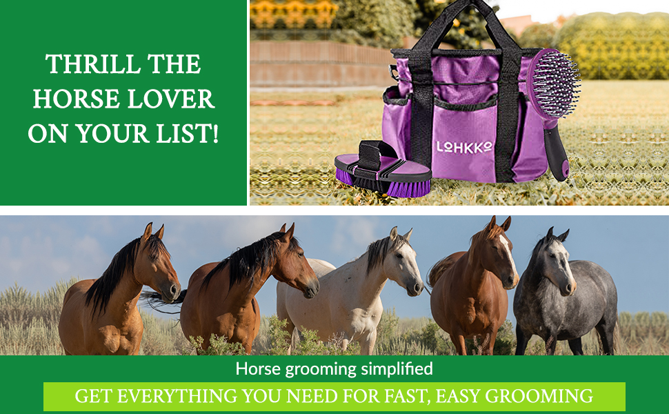 Horses and grooming kit.