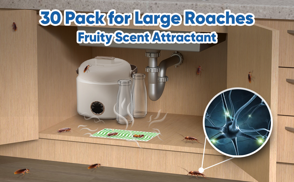 Large Roach Insect Traps 30 Pack, Trap & Kill Indoor