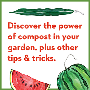 Discover the power of compost in your garden, plus other tips & tricks.