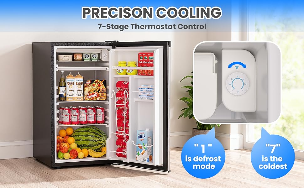 Mini Fridge with Freezer