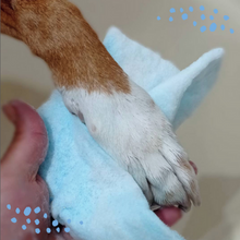 esponja animais de estimação patas almofadas lama