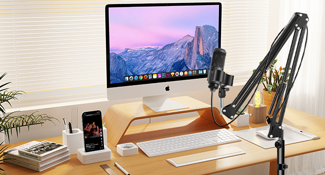 Height adjustable mic stand