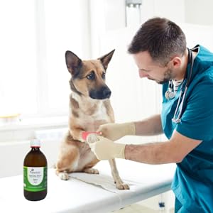 Colloidal Silver Water