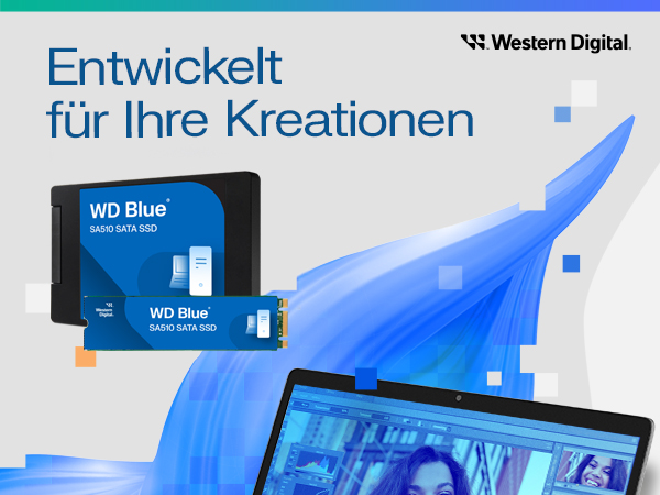 chappy WD Blue SA510 1TB SSD ほぼ新品 chappy WD Blue SA510 1TB SSD ほぼ新品 Amazon.com: Western