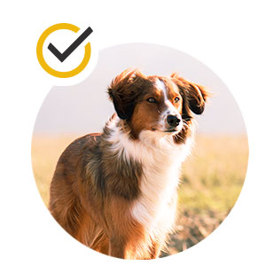 AntiScratch Key Benefit 2