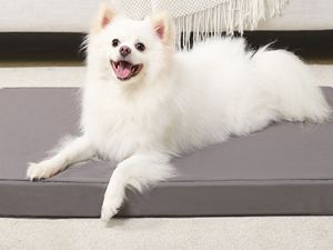 Outdoor Cushion Covers
