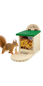 squirrel feeder