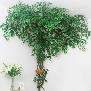 Small manufacture image 4