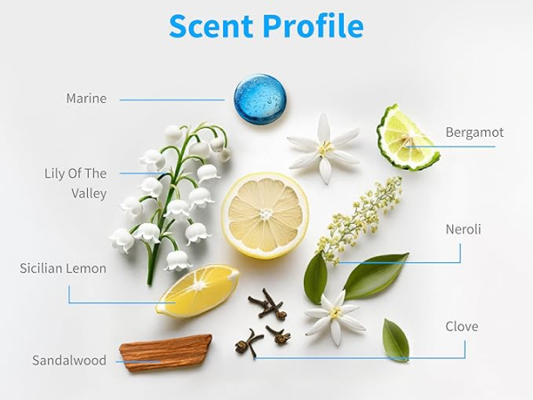 inis scent profile