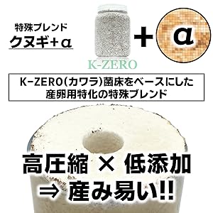 訳アリ確認用。タランドゥス Amazon | 【DDA】タランドゥスオオツヤ 成虫 ペア オス50