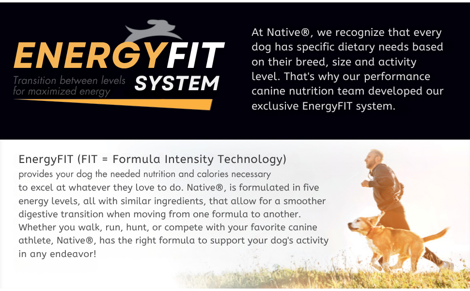 energyfit