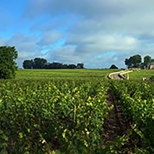 winery