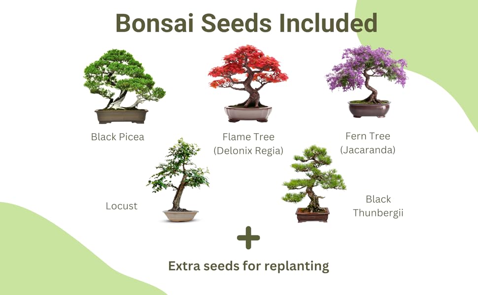 bonsai seeds included