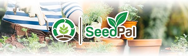 Kräuter Kräuter Samen Set