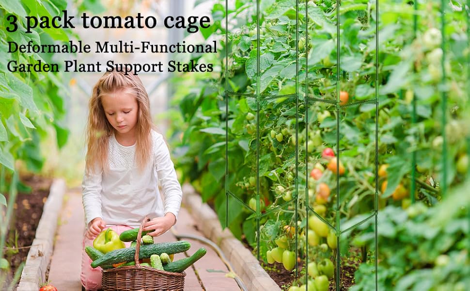 tomato cage,garden trellis