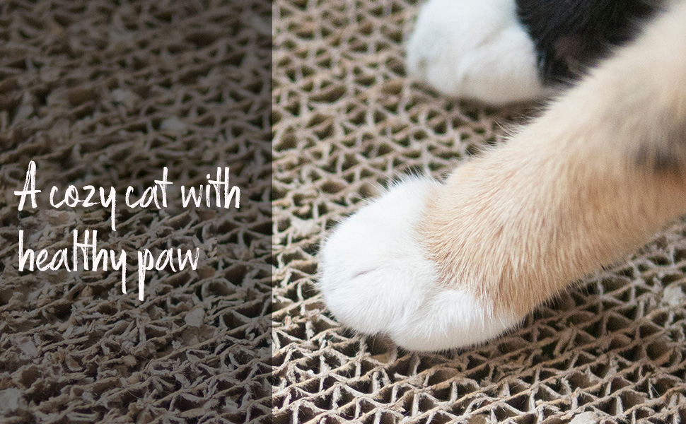 Goofy Tails Cat Scratch Pad with Catnip Recycled Paper Corrugated