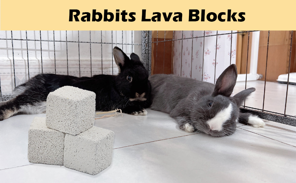 PINVNBY 20 Pcs Rbbits Lava Blocks,Chinchillas Lava Block
