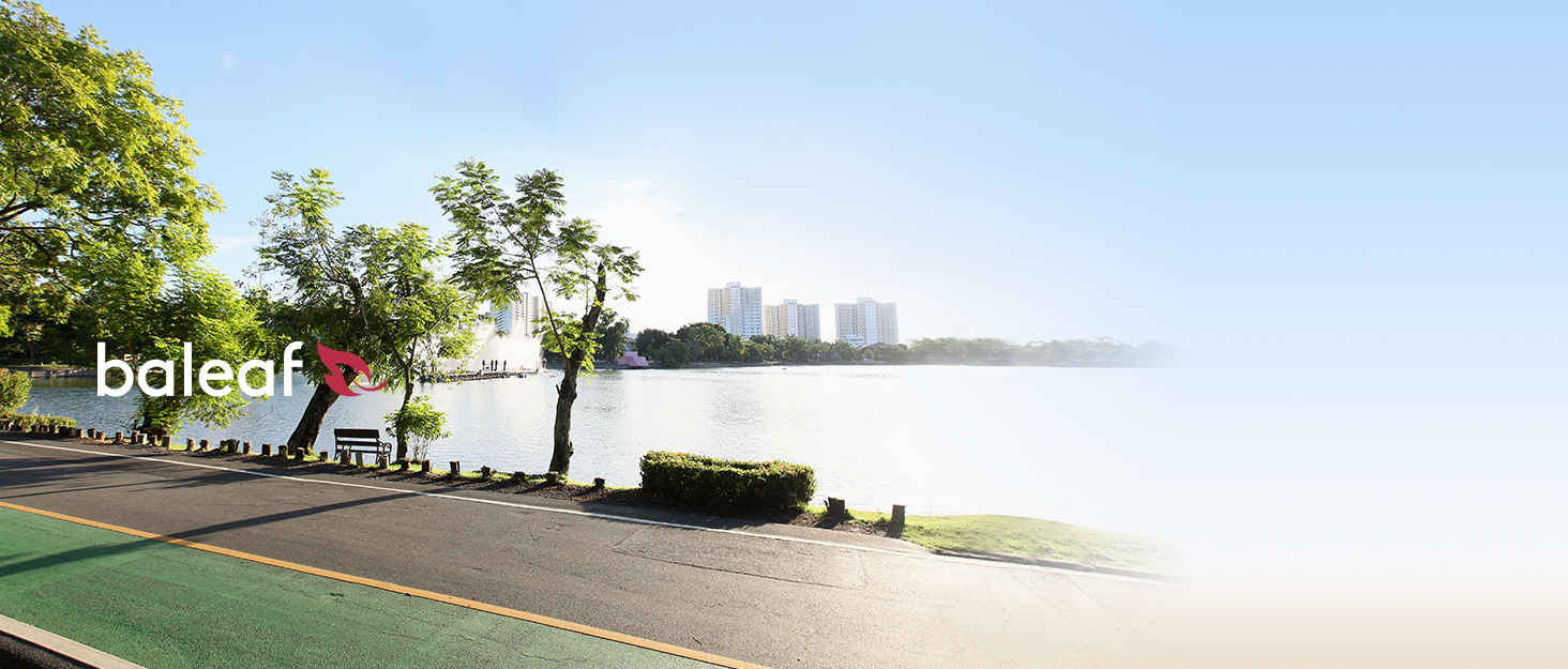 BALEAF Fleece Lined Leggings Womens Waterproof High Waisted Thermal Winter Warm Hiking Ski Running Trousers with Pockets 10 thermal leggings women