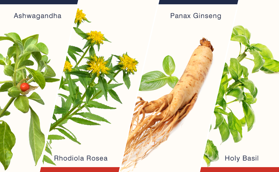 Adrenal Support Supplement & Cortisol Manager with