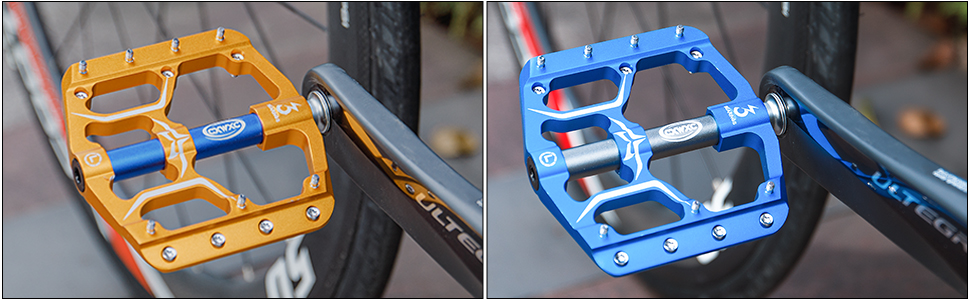 bike pedal
