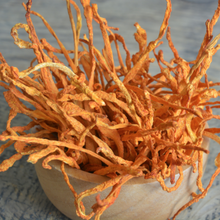 Cordyceps Mushroom
