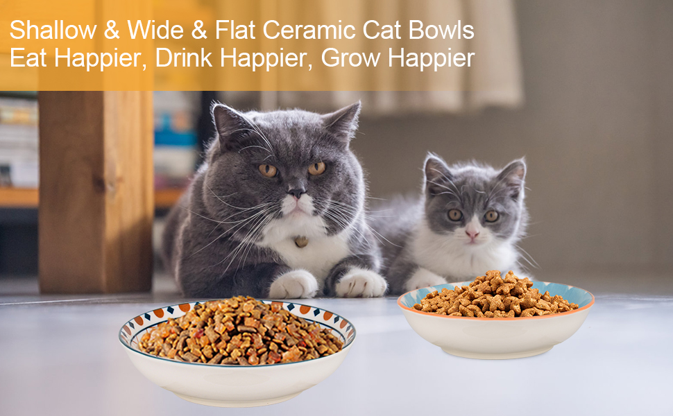 cat bowls, cat food bowl, cat dishes, cat food dish, ceramic cat bowl, whisker fatigue cat bowl