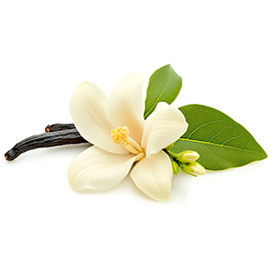 Small manufacture image 8