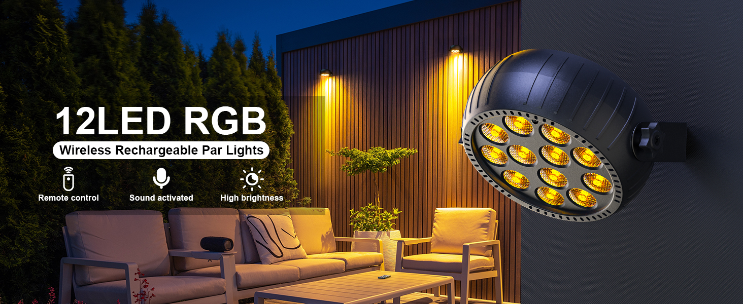 12 LED Par lights