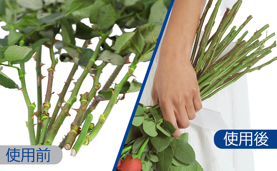 使用前和使用后