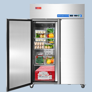 Commercial Reach in Freezer, WESTLAKE 2 door Commercial Freezer 49 Cu. –  Westlake Kitchen