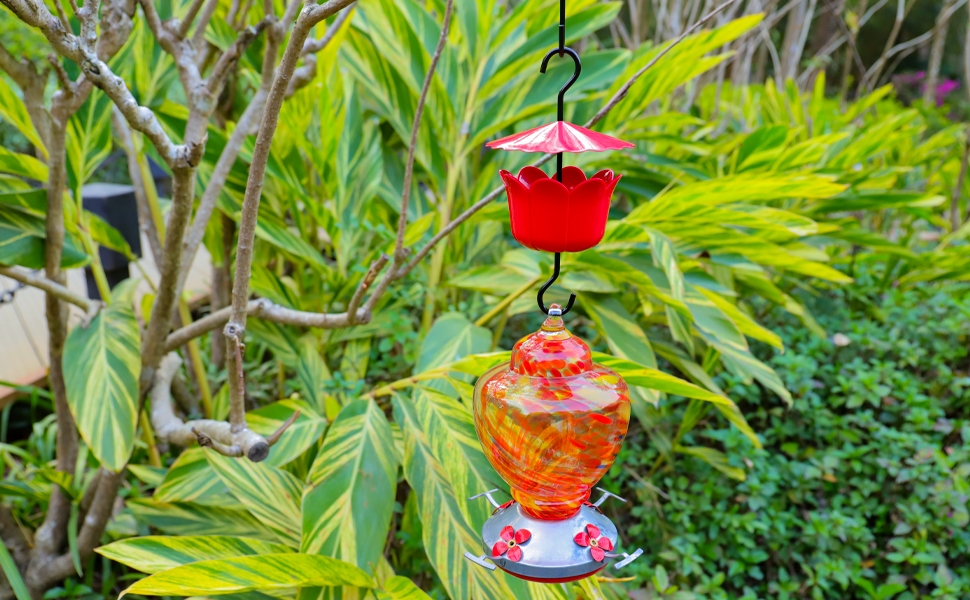 FLIORS Hummingbird Feeder Ant Guard 5 oz, Ant Moat for