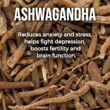 amor men arginine ashwagndha assists astragalus ayurvedic back bacopa basil bella berberine atlética