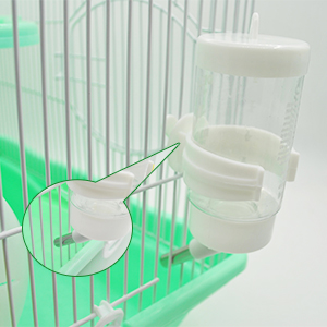 Rodent Gerbils House Mouse Mice Small Animal