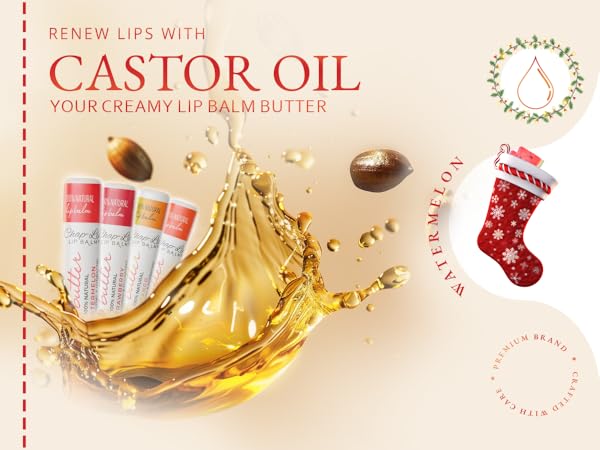 Lip Balm Hydrating Bulk Chap Stick with Fruit Flavors, Coconut Oil, Cocoa Butter - Christmas