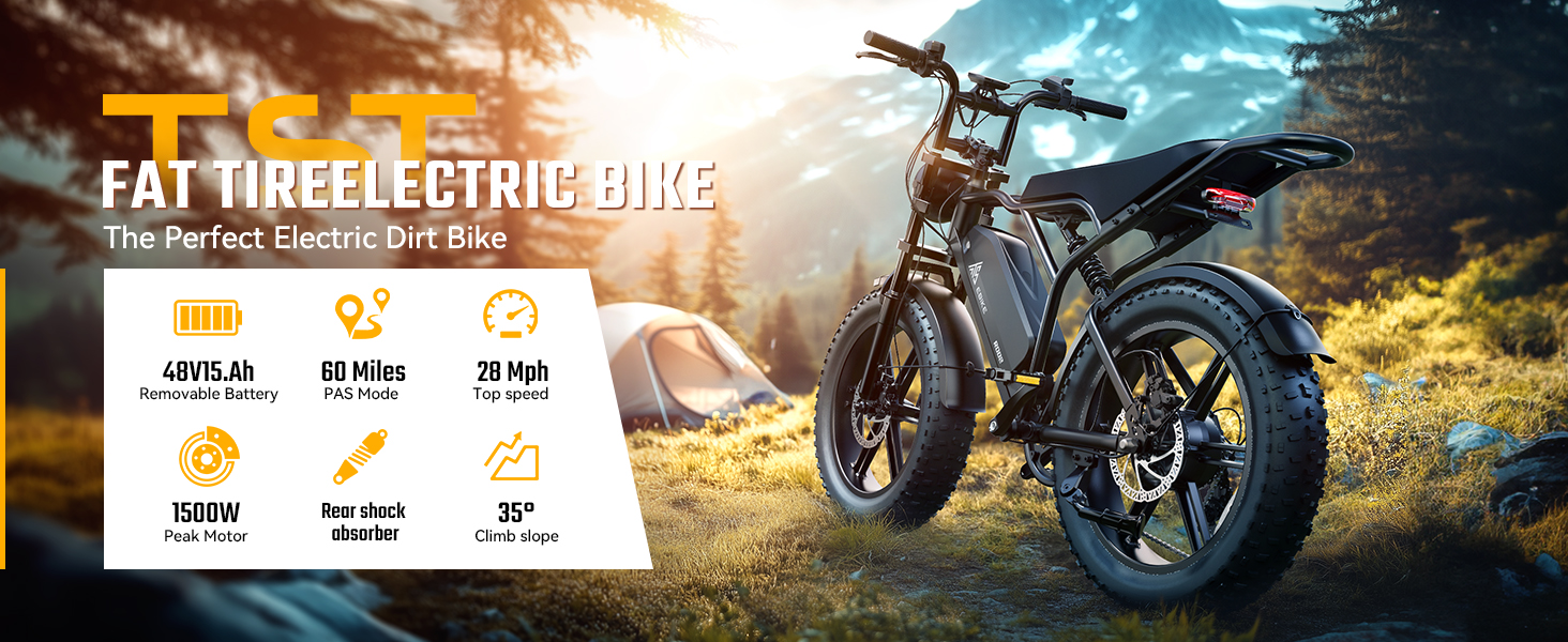 ebike