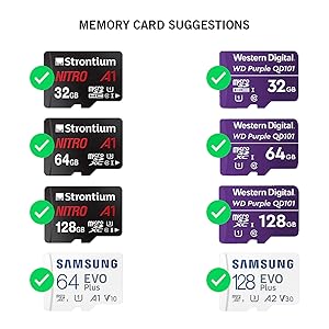 Memory Card