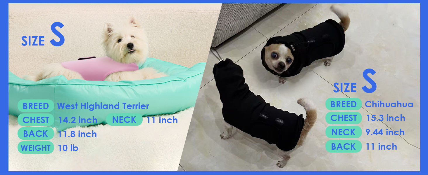 anxiety vest for dogs small