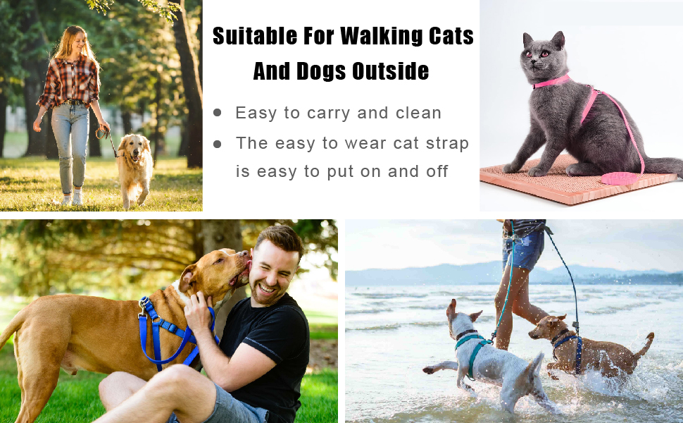 Pack of 2 Cat Harness Large Cat Harness Cat Harness with Lead Escape Proof Adjustable Cat Lead with Harness for Cats Cat Harness Kitten for Small Cats Rabbits and Dogs 16 Pack of 2 cat harnesses, large cat harness, cat harness with