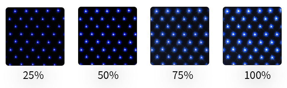 WD-M5-3-Tran-Blue-2