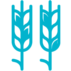 no added sugar muesli