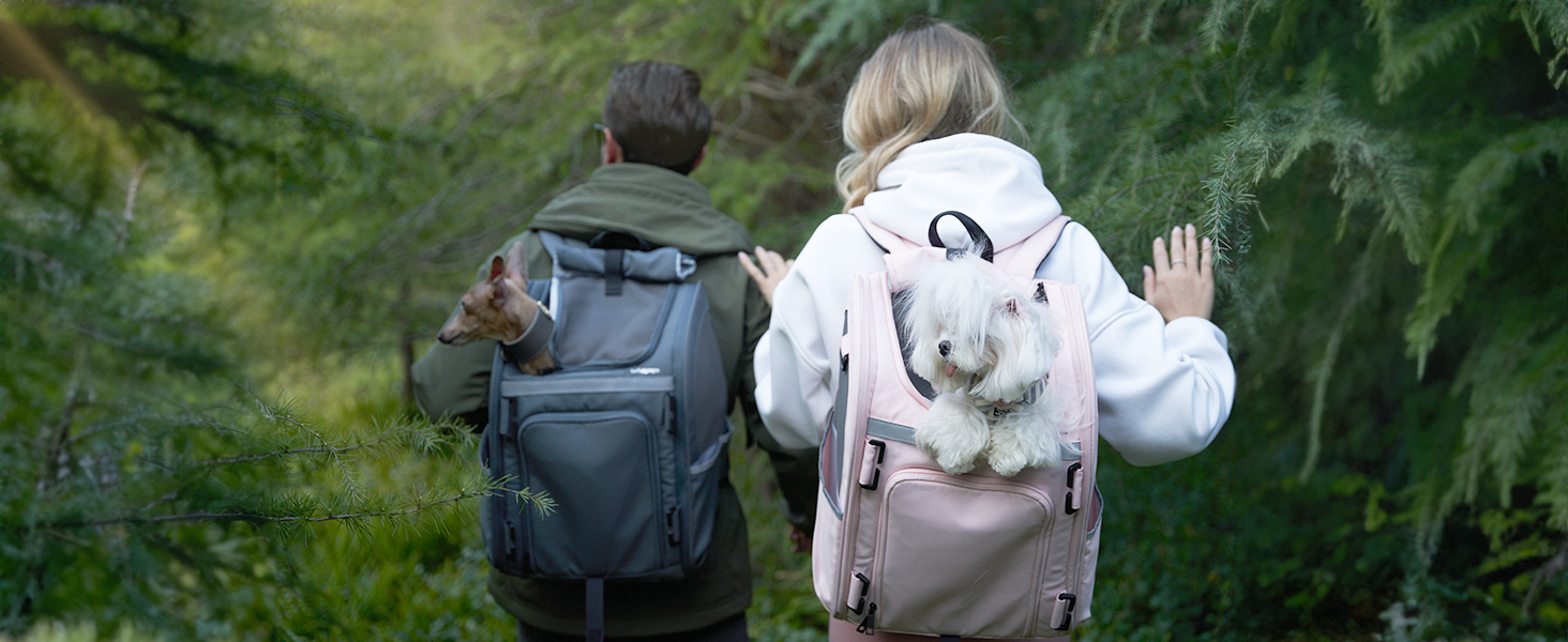 Wildgogo Pet Carrier Fits up to 13lbs Cat & 11lbs Medium Dog