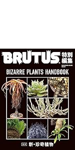 BRUTUS ブルータス 2021年 12/15号 No.952 珍奇昆虫 珍奇昆虫 | ブルータス| BRUTUS.jp