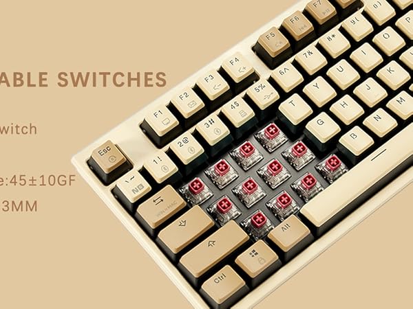 Hot Swappable 108 Keys Full Size Keyboard for Windows All Laptop Mac