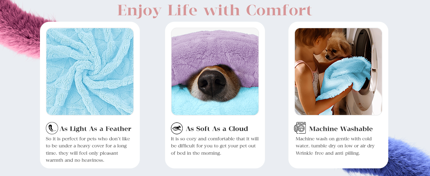 dog blanket