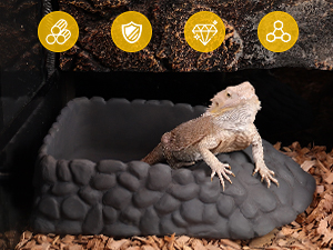 Resin Terrarium Bowl