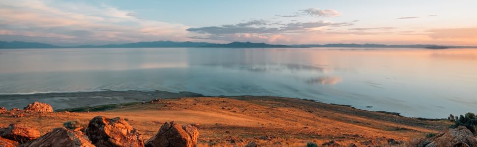 halo; drops; lifestyles; hydration; vitamin; exercise