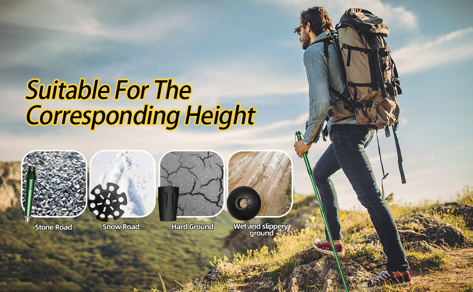 New Series Trekking Pole 