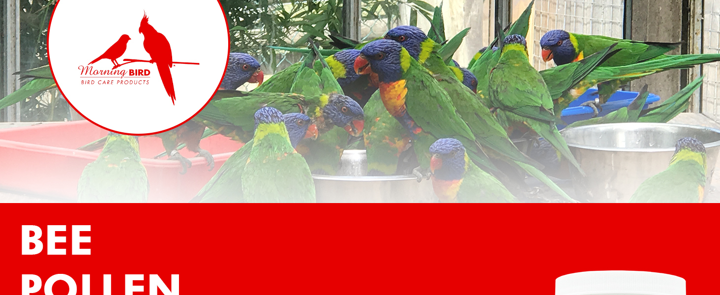 bird vitamins calcium for birds bird vitamins for water 