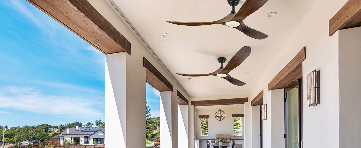 ceiling fan with light